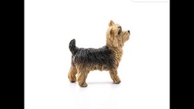 Resim Schleich Yorkshire Terrier 13876 