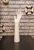 Resim Manken İstanbul Yüksek Kalite Beyaz Renk Polyester (fiber) El Mankeni Eldiven Mankeni 