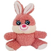 Resim Sevimli Peluş Tavşan Tdrtr 