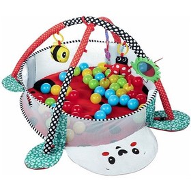 Resim Molie Uğur Böceği Desenli Bebek Aktivite Halısı Ve Top Havuzu 