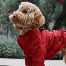 Resim Kırmızı Köpek Montu - 6 