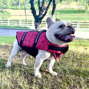 Resim UÇAN KUYRUK Köpek Can Yeleği - Ayarlanabilir Boyun ve Göğüs Kayışları, Yırtılmaya Dayanıklı, Yansıtıcı Şerit, Güçlü Kaldırma Kuvveti, Dokuma Naylon ve PVC, Karikatür Desenli, Küçükten Büyüğe Irklara Uygun, Sadece Elde Yıkama 