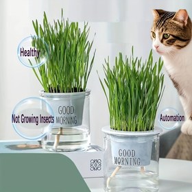 Resim Otomatik Kendinden Sulama Yapmayan Kedi Çim Planterı - Güvenli Kolay Temizlenebilir Evcil Hayvan Dostu Ev Dekoru, Kapalı Kediler İçin Kedi Çim Planterları, Modern Minimalist Tasarım, Bu Ürün Kedi Çim veya Tohumlar İçermez. 