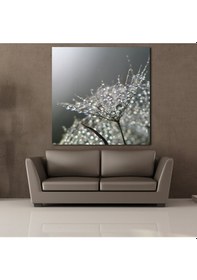 Resim Karahindiba Çiçeği Tüğleri Kanvas Tablo 200x200cm 