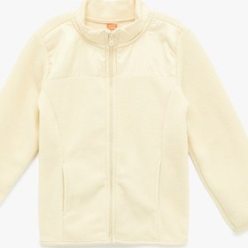 Resim Erkek Bebek Uzun Kollu Cepli Dik Yaka Fermuarlı Polar Sweatshirt 