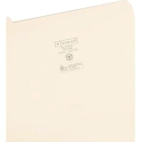 Resim Indiziert Dosya Düzenleyici Set, Her Gün (1 - 31), Klasörlere, Güçlendirilmiş 1/5-Cut Tab, Size, Manila, 31 Pro Set (11769) 