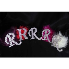 Resim Swarovski Gümüş Taşlı Dikiz Ayna Kolye Süsü Kırmızı Tüylü R Harfi 