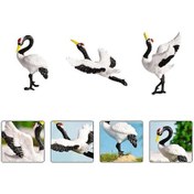 Resim 3 Adet Minyatür Kırmızı Taçlı Turna Sukulentleri Bonsai Süsleri Turna Figürleri Beyaz 