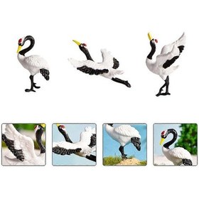 Resim 3 Adet Minyatür Kırmızı Taçlı Turna Sukulentleri Bonsai Süsleri Turna Figürleri Beyaz 