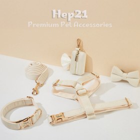 Resim Dog Collar Named Cream Velvet Collar 904285 - 5pcs set / L 