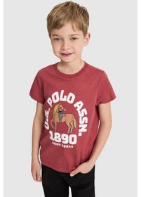 Resim U.s. Polo Assn. Erkek Çocuk Vişne Tişört 50327000-vr223 
