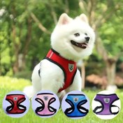 Resim İlkbahar/Yaz Kedi Köpek Göğüs Kayışı 