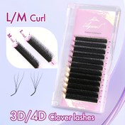 Resim Aguud 12 Sıra L/M Curl 3D/4D Clover W Şekilli Kirpik Uzatmaları, 0.07mm Kalınlık, Kedi Gözü Etkisi, Karışık Uzunluklar 8-15mm, Salon Kullanımı İçin Önceden Yapılmış El Dokuma Kirpik Tepsileri, Siyah Kaşmir Hacim Kirpikleri 