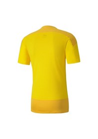 Resim Puma Teamgoal 23 Training Jersey Erkek Futbol Formasi 65648207 Sa 