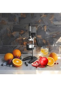 Resim 1705 Meyve Presi Professıonal Draıner Type Fruıt Press 