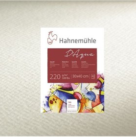 Resim Hahnemühle D Aqua Sulu Boya Blok Rough 220G 30X40 Cm 30 Yaprak 