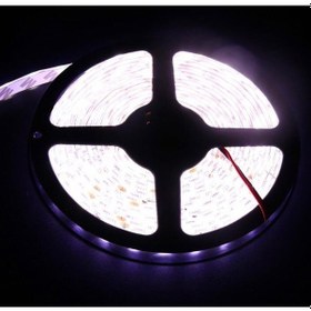 Resim 24 Volt Şerit Led 5050 IP65 5 Metre Beyaz 