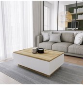 Resim Robin Home Orta Sehpa 2 Kapaklı Keçe-Beyaz Dg17 
