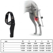 Resim Jokmae Köpek Diz Destek Bandı - Ağrı Ve İltihap Azaltıcı, Çok Renk Seçenekli Diğer 