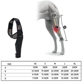 Resim Jokmae Köpek Diz Destek Bandı - Ağrı Ve İltihap Azaltıcı, Çok Renk Seçenekli Diğer 