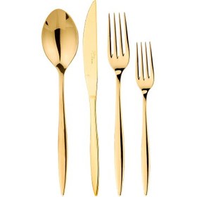 Resim Aryıldız Noble Pvd 24 Parça 6 Kişilik Çatal Kaşık Bıçak Takımı Parlak Gold 