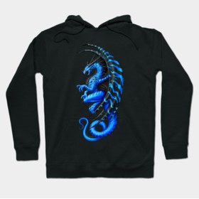 Resim GALASHOP Master Dragon Blue Hoodie 