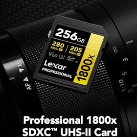 Resim Lexar Gold Serisi Profesyonel 1800x 256GB UHS-II U3 SDXC Hafıza Kartı 