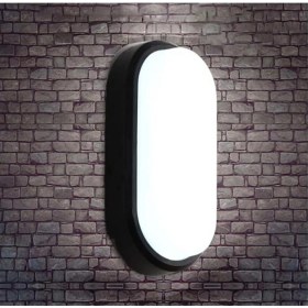 Resim Data Store Banyo Tavan Lambası 20W Oval Balkon Tavan Lambası 6400K Beyaz LED Işık Teras Duvar Lambası (Siyah) 