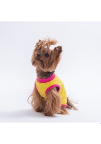 Resim Yellow-sarı All Good Days Kedi Köpek Tişörtü-kedi Köpek Kıyafeti 