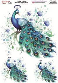 Resim Pirinç Dekopaj Kağıdı 30x42cm Pt-1797 