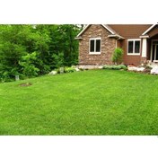 Resim 4 Lü Karışım Çim Tohumu 5 KG 