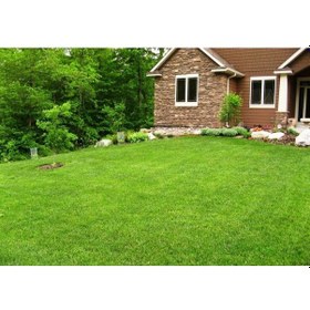 Resim 4 Lü Karışım Çim Tohumu 5 KG 