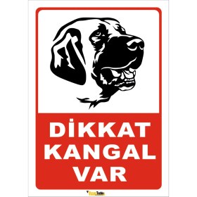 Resim Vizyon Trafik Dikkat Kangal Var 