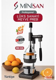 Resim Minisan Mns-506 Profesyonel Sanayi Tipi Kollu Meyve Presi 