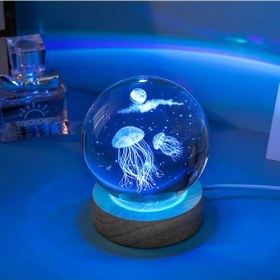 Resim Ahşap Altlıklı Renk Değiştiren Cam Küre Deniz Anası Rgb Çok Renkli 