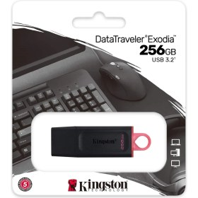 Resim Binbir Göz Bilgisayar Kıngston Exodıa Datatraveler 256GB USB 3.2 Flash Bellek DTX/256GB 