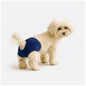Resim 101Dzyn Kedi Ve Köpekler İçin Lacivert Külot, Xl Boyut 19-0303 