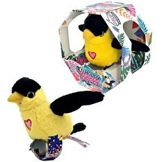 Resim Happy Yappers Slap Bant Konuşan ve Taklit Eden Oriolus Papağan 