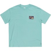 Resim Quiksilver Take Us Back Bubble Erkek Tişört 