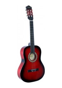 Resim Lichtenberg Cg836 Rds Klasik Gitar Taşıma Çantalı 