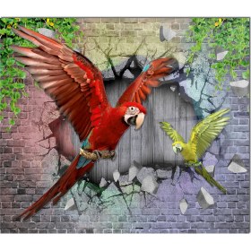 Resim Olinpa Cam Ocak Arkası Koruyucu | Papağan 