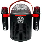 Resim Nettech Y-13 Karaoke Box Kablosuz Hoparlör - Speaker 
