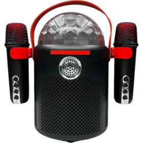 Resim Nettech Y-13 Karaoke Box Kablosuz Hoparlör - Speaker 