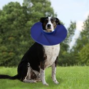 Resim Dayanıklı Polyester Köpek Elizabethan Yaka - Yumuşak, Rahat, Lekeli ve Bıçaklanmayı Önler, Petler için Ayarlanabilir İyileşme Yaka, Ameliyat Sonrası veya Tıbbi Tedavi için İdeal 