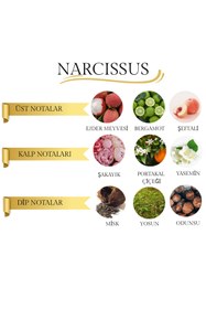 Resim Rosa Dolce Narcissus – Unisex Parfüm Çiçeksi Meyveli Modern Extrait de Parfum 