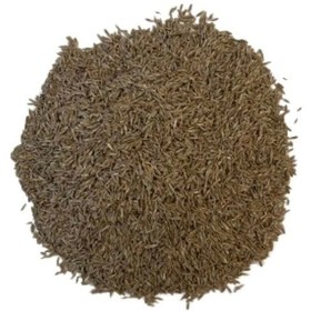 Resim 5'li Karışım İthal Çim Tohumu 5 Kg 