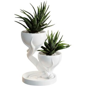 Resim Duvera İkili Dekoratif Mini Saksı 