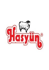 Resim Essaiçgiyim 1’Li 2’Li 3’Lü Paket Hasyün Kadın Yün Alt Içlik Don - 510873125 