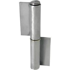 Resim Saçlı Menteşeler 