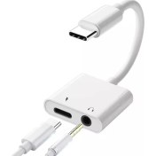Resim Type-C To 3.5mm Jack Kulaklık Çevirici Kablosu USB C Ses Aux Kablosu Ses Adaptörü Kulaklık Şarj Dönüştürücü Için Type C To 3.5mm Sadece Telefon ile Uyumludur JBC039 